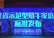全国首个示范型奶牛家庭牧场标准在河北发布