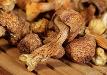 厦门贯一食品公司双涵牌姬松茸不合格 好年景牌青豌豆大肠菌群超标