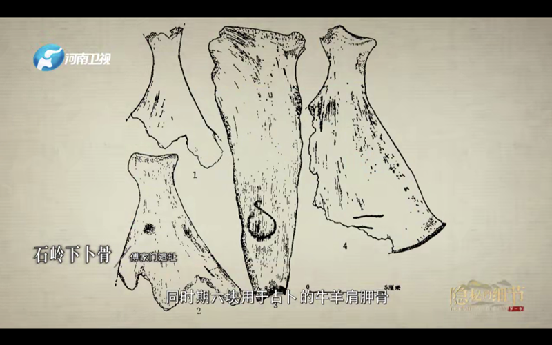 《隐秘的细节》揭示商王武丁人牲祭祀背后的秘密