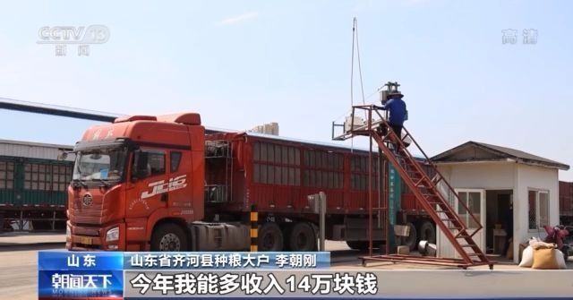 夏粮收购全面展开 今年主产区小麦普遍质优价高