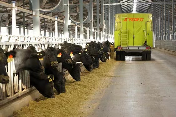 夏进0磨合并轨新乳业 超预期增长发布五年倍增规划