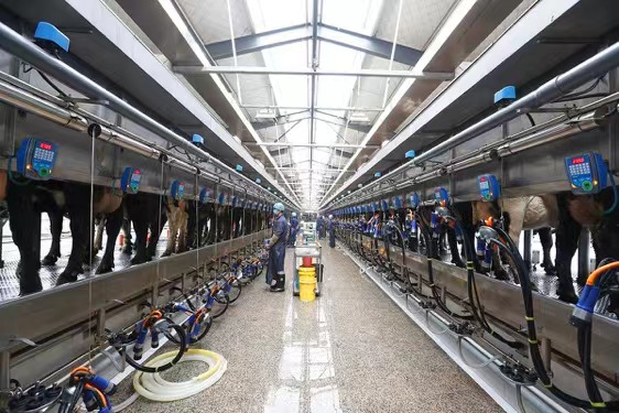 夏进0磨合并轨新乳业 超预期增长发布五年倍增规划