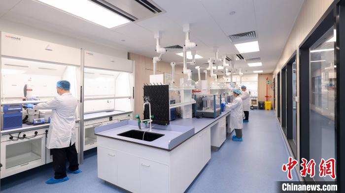 广东今年以来破获毒品案件1817宗 缴获毒品752公斤