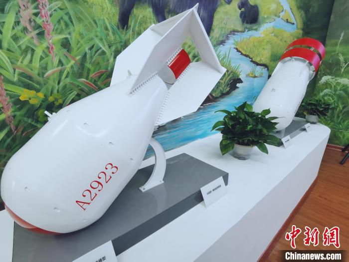 图为中核221“两弹一星”精神纪念馆内的中国第一颗核航弹模型。　张添福 摄