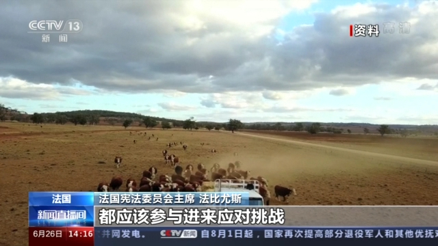 法国宪法委员会主席专访:应对全球挑战 必须坚持多边主义