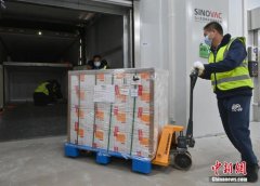 埃及与中国合作产出百万新冠疫苗 埃总理感谢中国援助