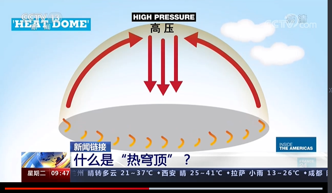 环球深观察丨山火年年发 是天灾更是人祸