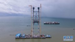 “七一”重要讲话精神在基层丨互联互通铸就湾区大未来