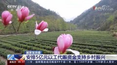 国家发改委：安排5亿元以工代赈资金支持乡村振兴