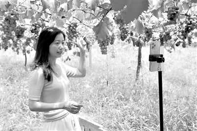 快递选择权何时“回归”网购消费者？