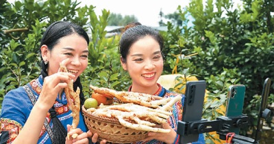 信息服务、电子商务取得显著成效 互联网为乡村振兴添活力