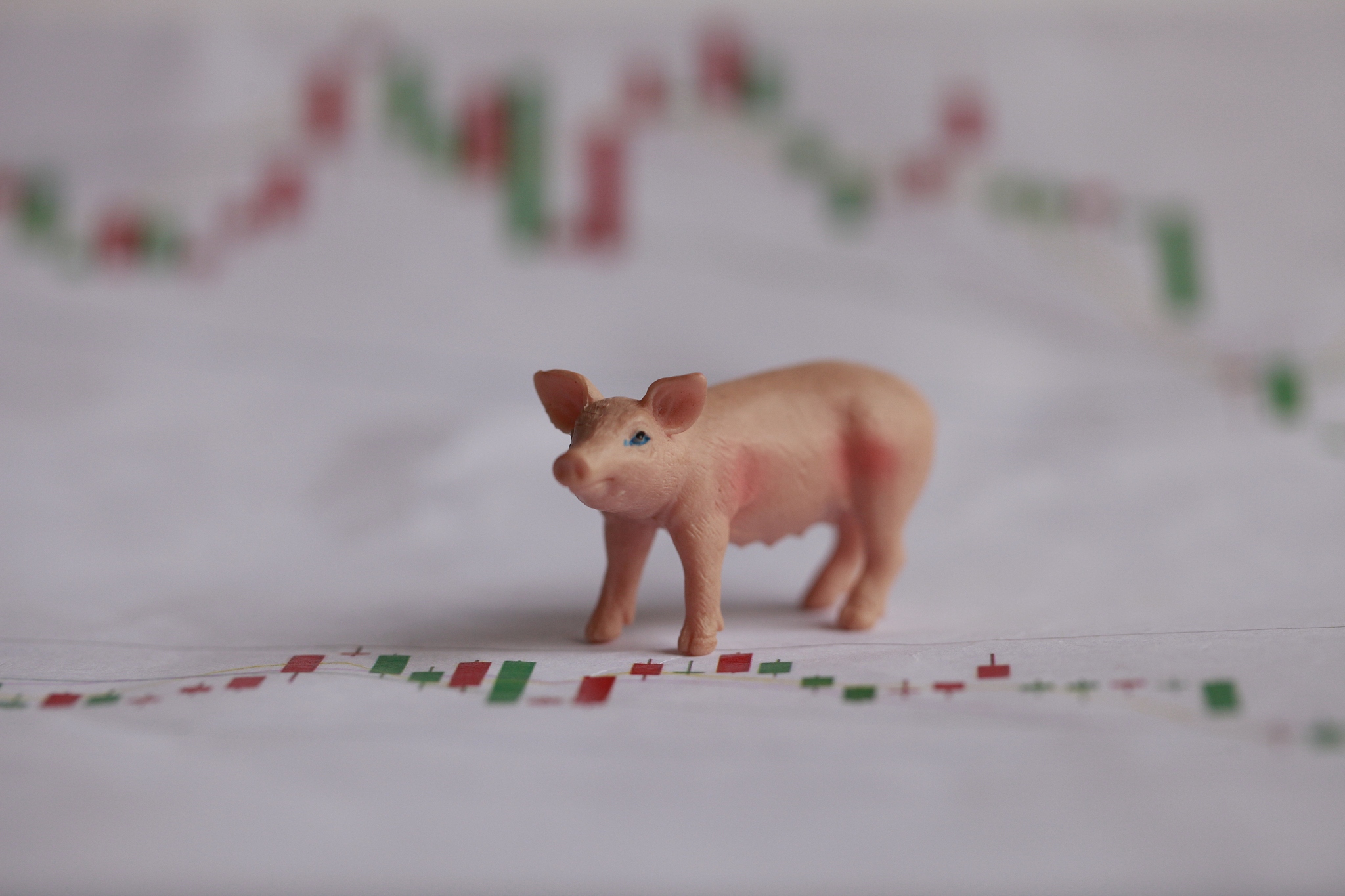 国家统计局：7月下旬生猪价格为15.5元/千克 环比下降0.6%