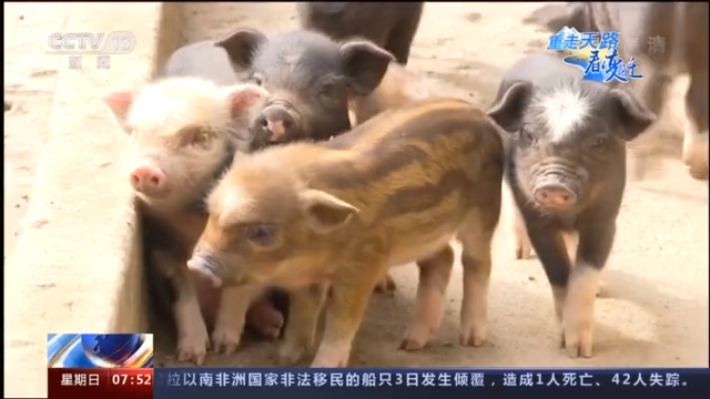 重走天路看变迁丨僜人脱贫记：从深度贫困村到边境小康村