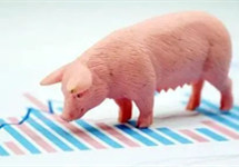 猪肉股8月9日走强，巨星农牧、牧原股份等涨停