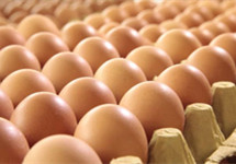 鸡蛋期现货价格为何会背离