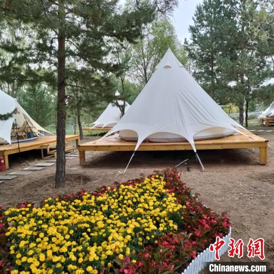 苏炳添喊话网红城市 康巴什回应:给个地址邮寄雪糕