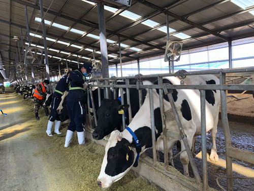 FIRST战略坚定落地 十四五开局之年蒙牛收获亮眼业绩