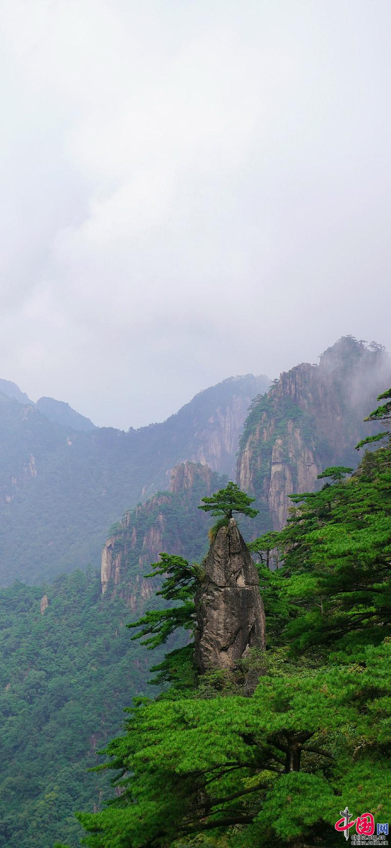 黄山“森系”主题,张张可做手机壁纸(组图)