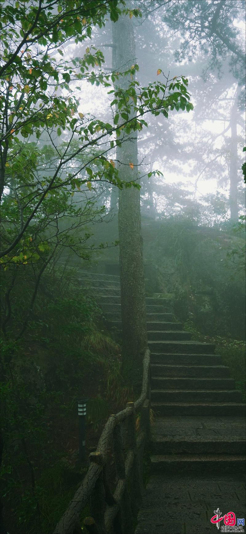 黄山“森系”主题,张张可做手机壁纸(组图)