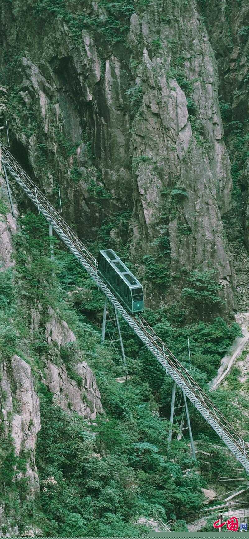 黄山“森系”主题,张张可做手机壁纸(组图)