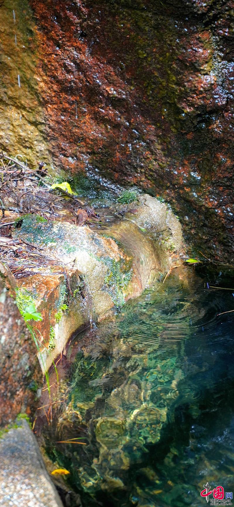 黄山“森系”主题,张张可做手机壁纸(组图)