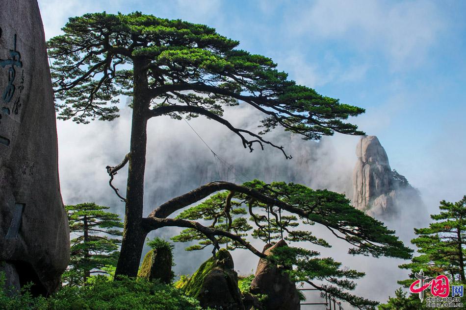 黄山”萌系”文创上新 迎客松雪糕成出片神器