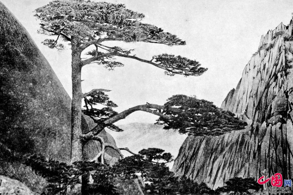 黄山”萌系”文创上新 迎客松雪糕成出片神器