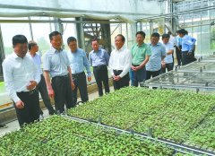安徽省政协委员建言蔬菜产业发展