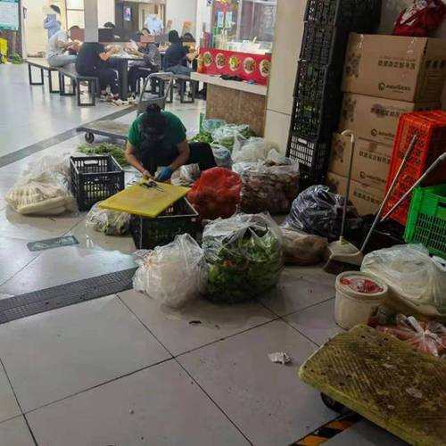 菜筐下爬蟑螂,垃圾桶旁放食材,一些美食城卫生堪忧