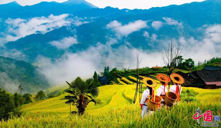 湖南雪峰山:金九银十 丰收节掀起乡村振兴新高潮