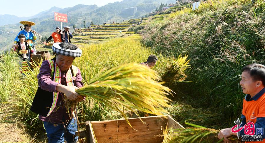 湖南雪峰山:金九银十 丰收节掀起乡村振兴新高潮
