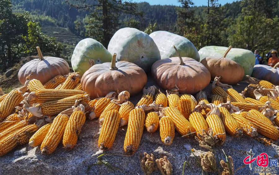 湖南雪峰山:金九银十 丰收节掀起乡村振兴新高潮
