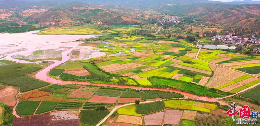 云南元谋：金秋九月 稻谷飘香 丰收大地如诗如画