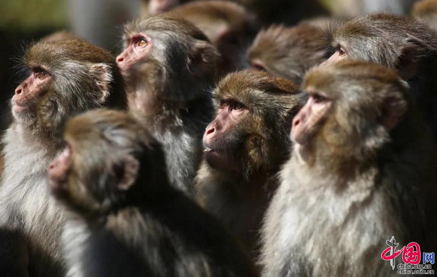 达古冰川：中秋假期圆满收官 即将迎来最美季节