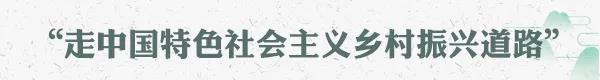 乡村振兴到底怎么干？习近平总书记给出方案