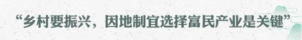 乡村振兴到底怎么干？习近平总书记给出方案