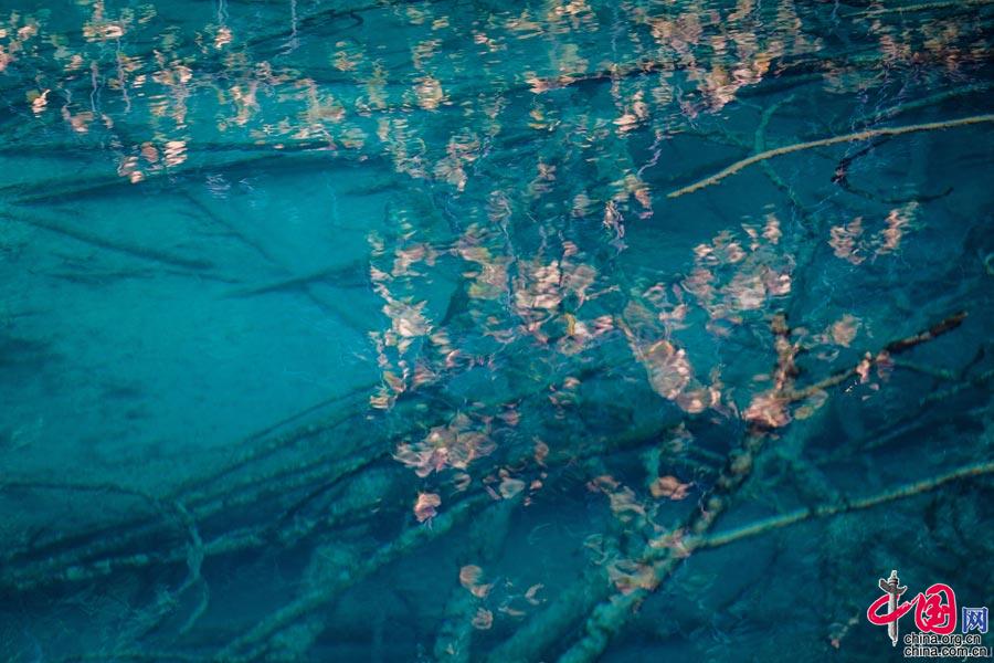 九寨沟9月28日起全域恢复开放 美好一如初见