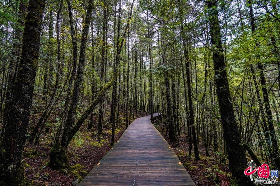 九寨沟9月28日起全域恢复开放 美好一如初见