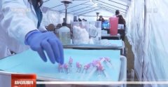 美药管局前局长：疫情政治化影响美国抗疫进程