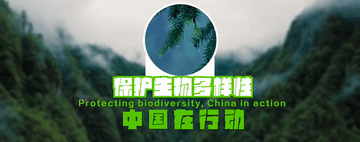 （创意短片）保护生物多样性 中国在行动