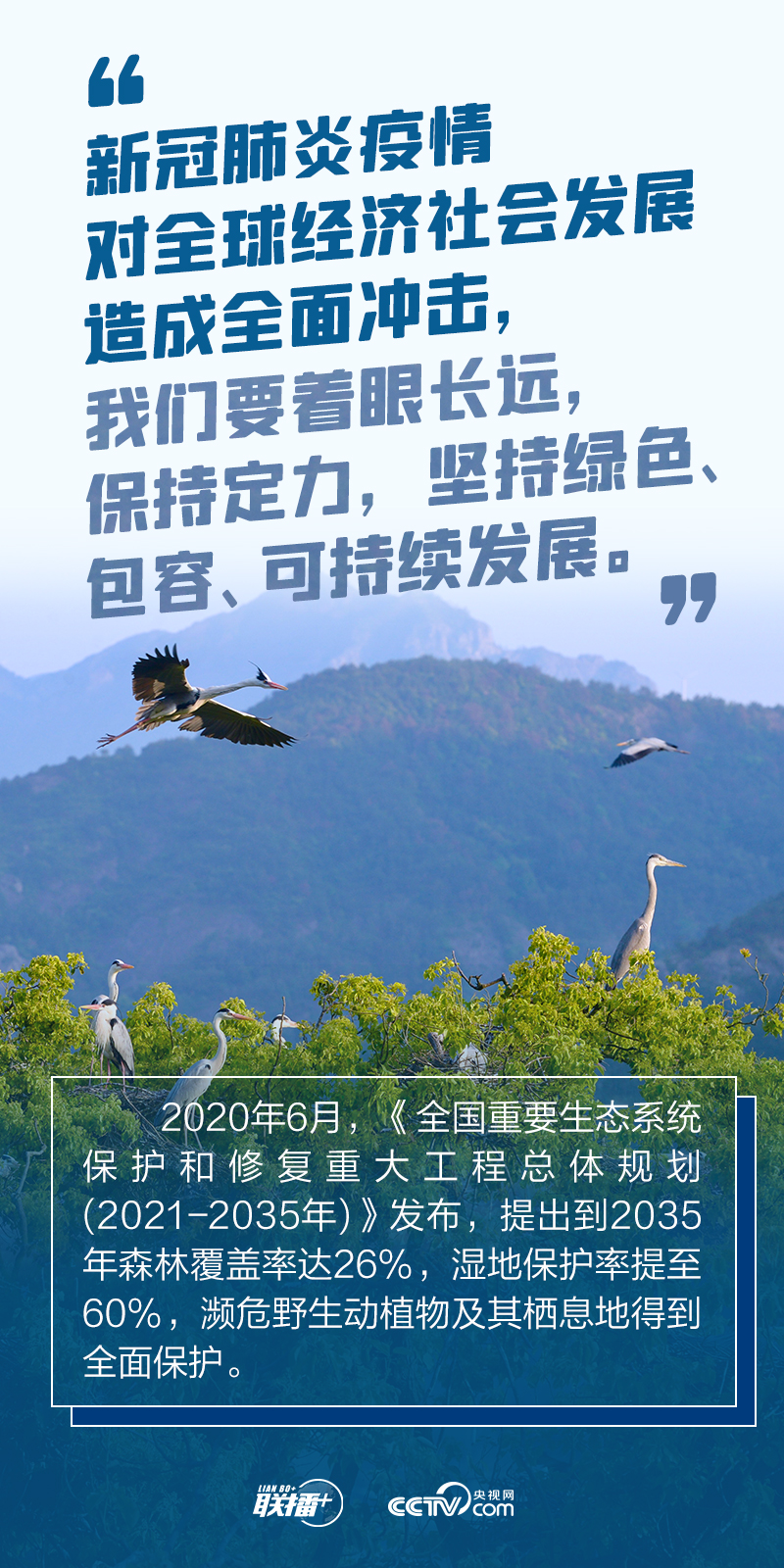 我们的共同家园｜加减之间 跟着总书记践行“绿色之诺”