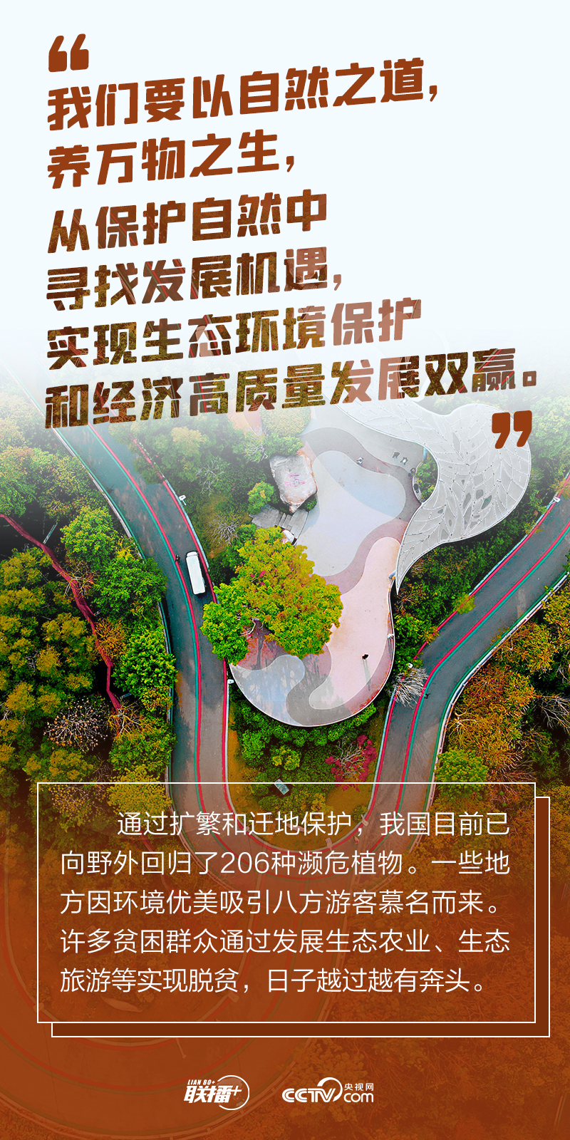 我们的共同家园｜加减之间 跟着总书记践行“绿色之诺”